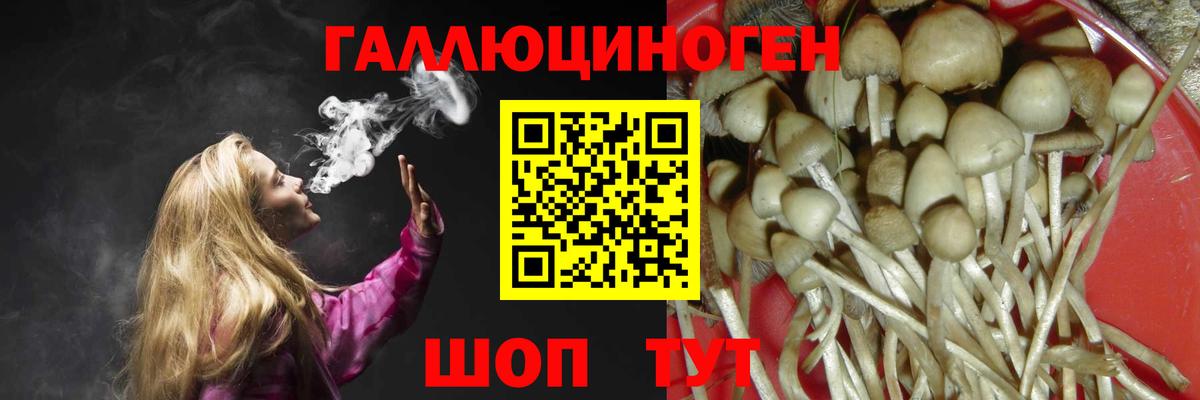 Лесосибирск  Псилоцибиновые грибы мухоморы  хочу   Вход с VPN 